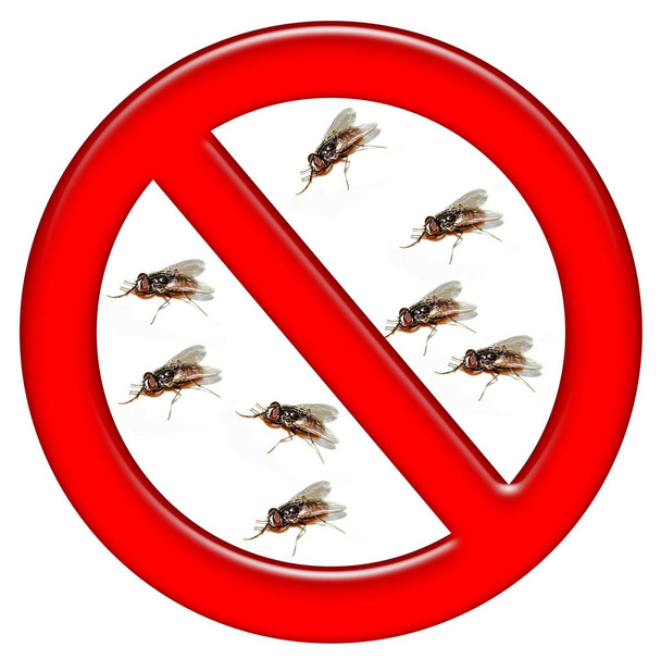 Símbolo de prohibición con el icono de ilustración de moscas
 - Foto, Imagen