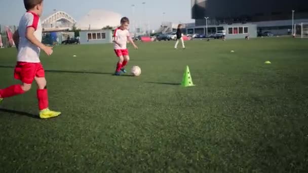 Junge Fußballer trainieren auf dem Fußballplatz - Filmmaterial, Video