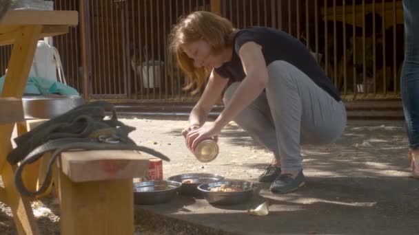 Mulher colocando comida de cães nas tigelas
 - Filmagem, Vídeo