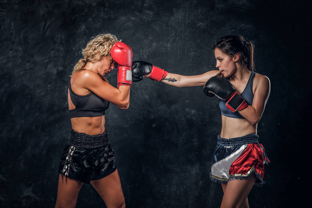 Lucha entre dos boxeadoras profesionales
 - Foto, imagen
