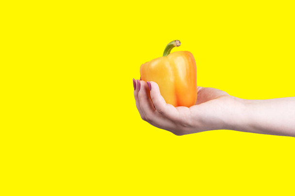 Orange sweet bell peppers in hand on a yellow background. - Foto, immagini