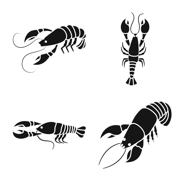 Vector design of meat and delicacy icon. Collection of meat and crab stock vector illustration. - Vector, imagen