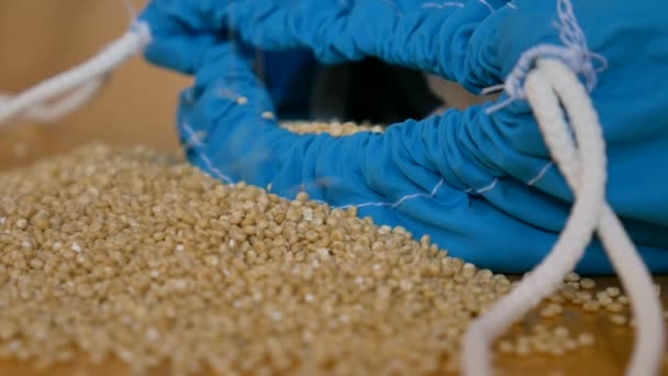 Witte quinoa zaden in transparante blauwe herbruikbare tas op houten achtergrond. Vegetarisch voedsel concept - Video