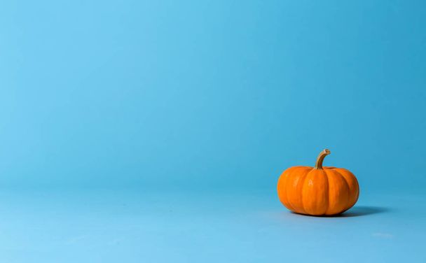 An autumn pumpkin - Foto, imagen