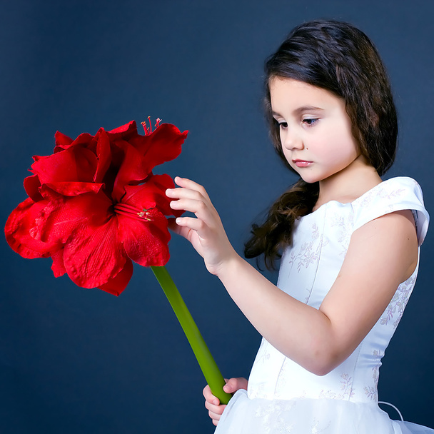 Beautiful dreaming girl with bright red flower - Foto, imagen