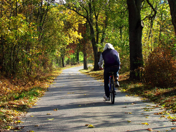 ciclista montando el camino en otoño paisaje
 - Foto, Imagen
