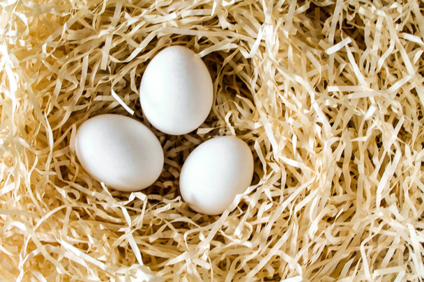 Trois œufs de poule blancs couchés dans le nid de paille
 - Photo, image