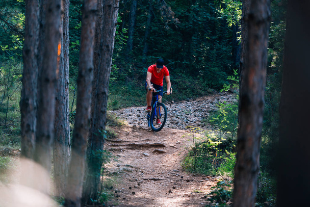 Fit pyöräilijä ratsastus hänen pyörä alamäkeen läpi metsän (metsä
 )  - Valokuva, kuva