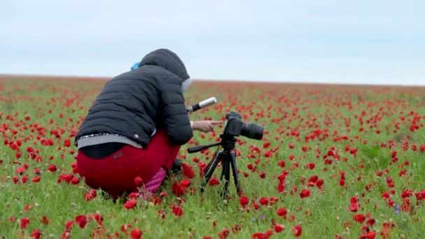 girl with a child photographs a field with poppies. - Footage, Video