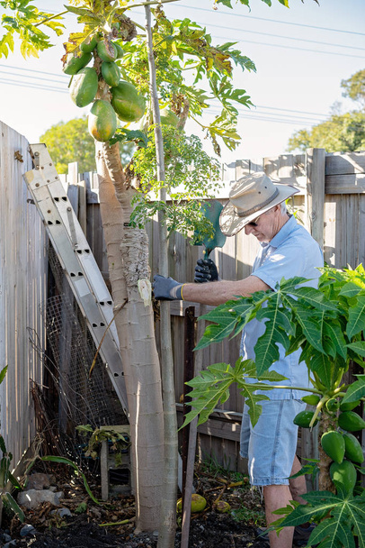 彼の庭で働くアクティブな退職者 - 写真・画像
