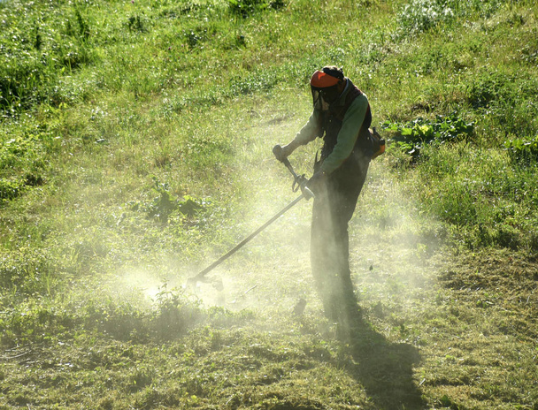 Jardinero cortando la hierba con una cortadora de césped
 - Foto, Imagen