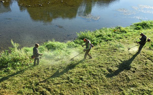 Садовники стригут траву газонокосилкой
 - Фото, изображение