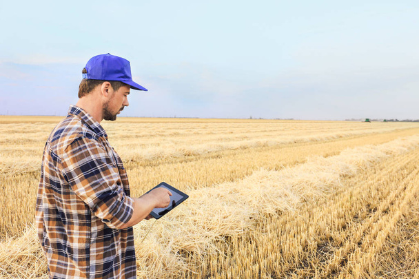 Mužský zemědělec s tabletovým počítačem pracujícím v pšeničném terénu - Fotografie, Obrázek