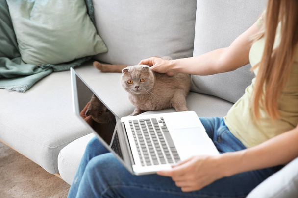 Mooie vrouw met schattige kat en laptop zittend op de Bank thuis - Foto, afbeelding