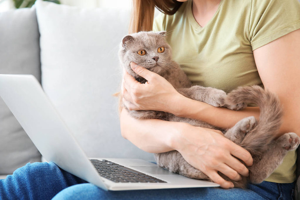 Beautiful woman with cute cat and laptop sitting on sofa at home - Fotoğraf, Görsel
