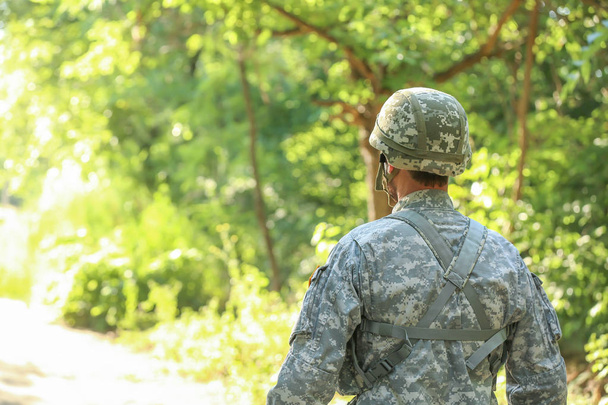 Male soldier in camouflage outdoors, back view - Foto, immagini