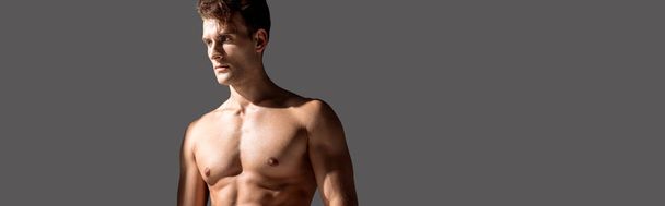 panoramic shot of sexy man standing isolated on grey   - Foto, immagini