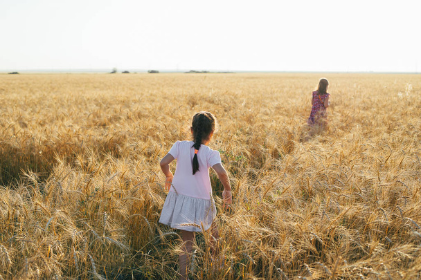 Two little girls walk on a wheat field at sunset. Vacation, summer or autumn evening. - Fotó, kép