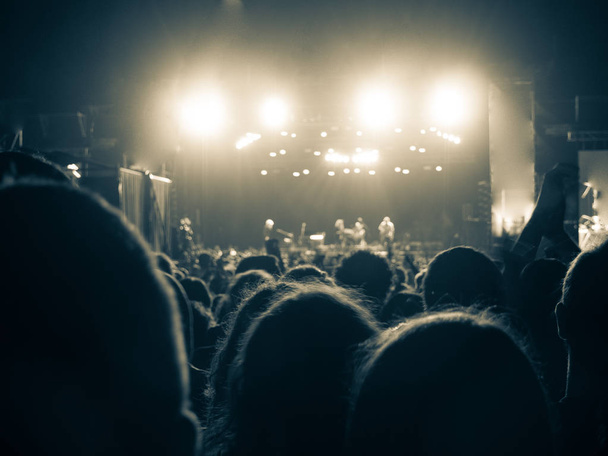 Les gens profitent d'un concert de musique en plein air la nuit
 - Photo, image