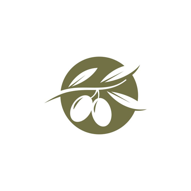 Olive logo šablona - Vektor, obrázek