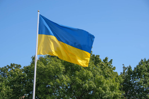 Flaga stanu Ukrainy  - Zdjęcie, obraz