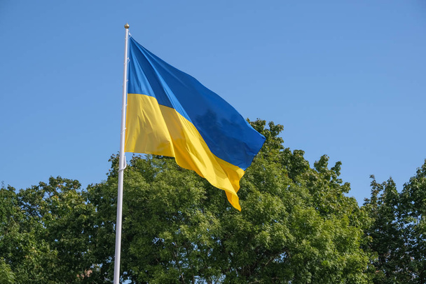 Bandiera di Stato dell'Ucraina
  - Foto, immagini