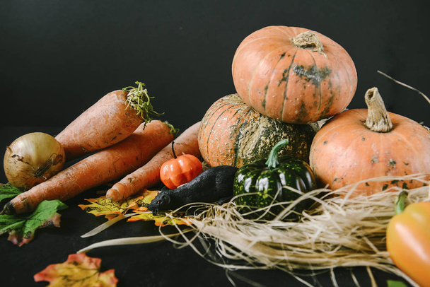 fresh pumpkin, bell pepper, carrot, onion, autumn leaves, hay,   - Fotoğraf, Görsel