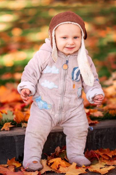 Cute little baby playing in autumn leaves - Zdjęcie, obraz
