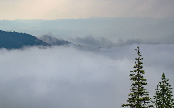 Landscape called Misty Carpathians  - Fotoğraf, Görsel
