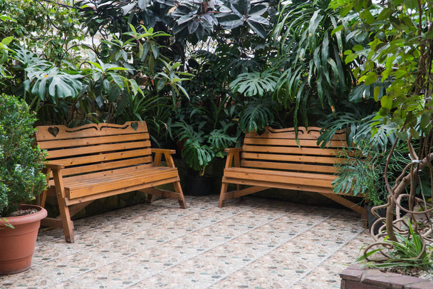 bench in the greenhouse - Photo, Image