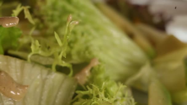 druppels walnoot saus op groene salade bladeren. Macro. close-up - Video