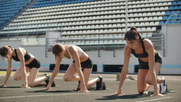 Vrouwelijke lopers op atletiek bijhouden gehurkt op de startblokken voor een race. In slow motion - Video