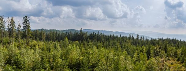 Nice panoramic view to summer czech forest with trees and distan - Фото, изображение