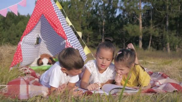 children resting in nature, little cute friends enjoy resting into forest, read interesting book while lying on picnic coverings during summer holidays on background of wigwam - Footage, Video