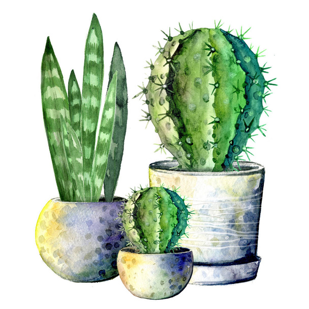 The composition of the three cacti in pots. Isolate on white background. Watercolor hand drawn illustration - Foto, afbeelding