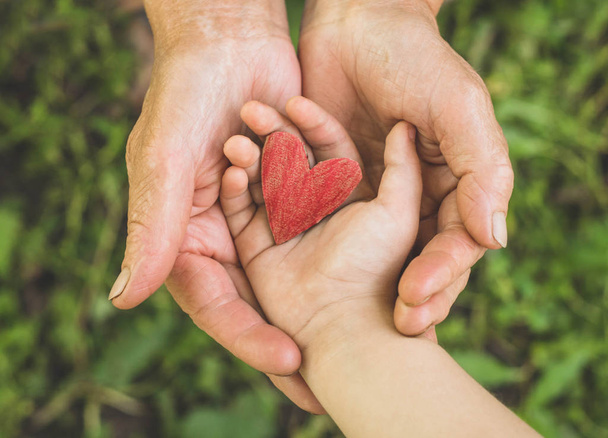 Childs käsi ja vanha käsi isoäiti pitää sydän. Käsitys rakkausperheestä suojelemassa lapsia ja vanhuksia isoäiti
 - Valokuva, kuva