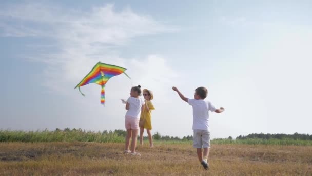 spielende Kinder, lustige Jungen und Mädchen haben Spaß beim Drachenfliegen auf Waldlichtung am Sommerwochenende in der Natur gegen den Himmel - Filmmaterial, Video