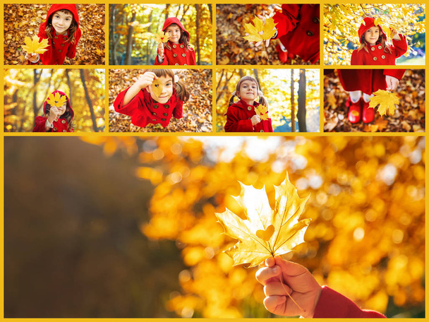 Collage et photos d'automne pour enfants. Concentration sélective
. - Photo, image