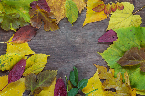 Background of colorful autumn leaves on a wooden surface - Фото, зображення
