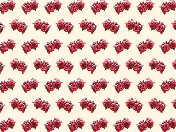 un patrón de rosa roja sobre un fondo claro
 - Foto, Imagen