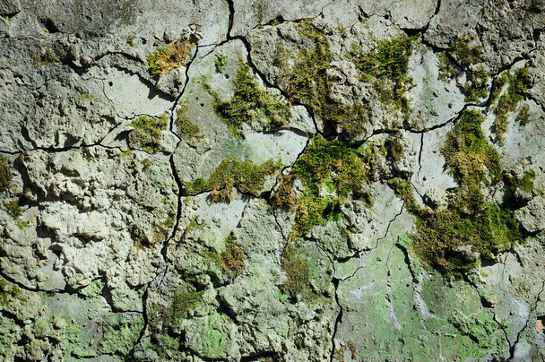 eski çimento duvar - Fotoğraf, Görsel