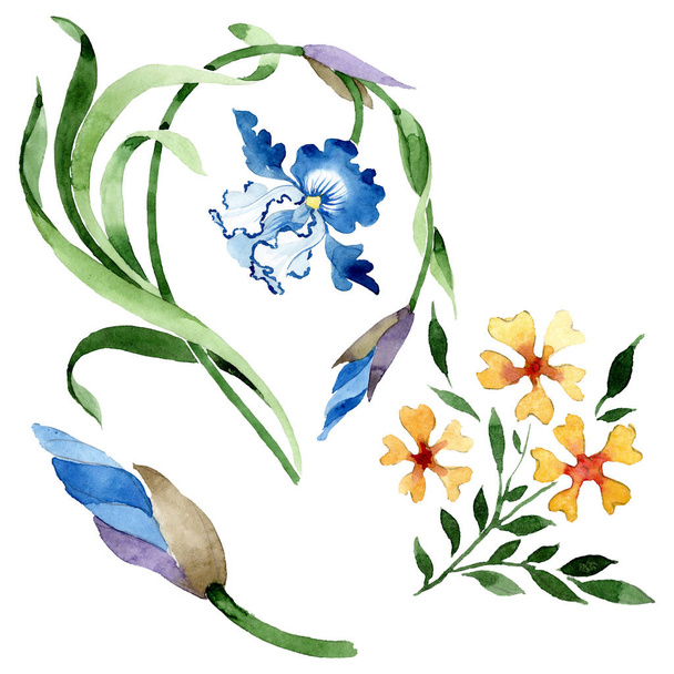 Ornament floral botanical flowers. Watercolor background illustration set. Isolated flower illustration element. - Photo, image