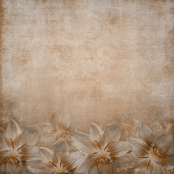 Greeting or invitation card background with lily flowers - Foto, Imagem