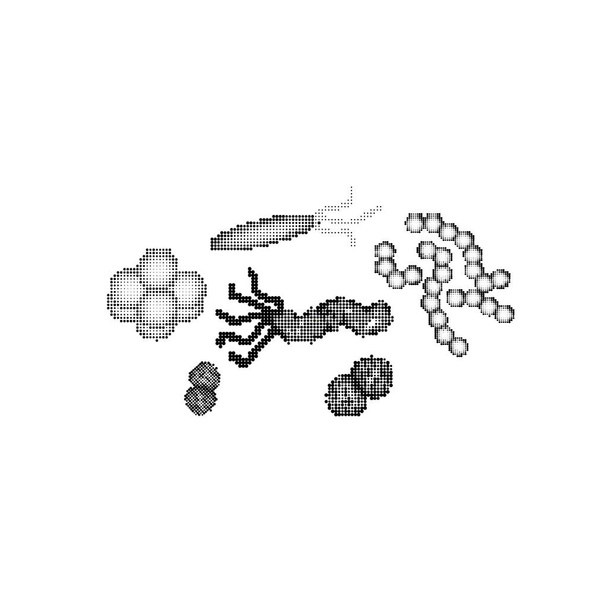 Schwarz-weiße Viren und Bakterien. Vektor-Illustration auf isoliertem Hintergrund - Vektor, Bild