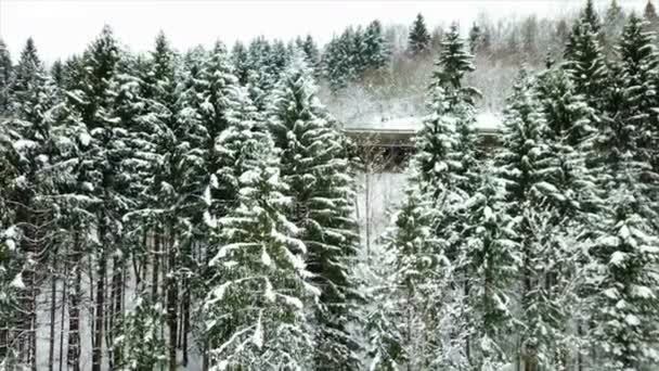 We kunnen een viaduct zien waarop een snelweg staat en waar voertuigen rijden. Het viaduct is verborgen achter bomen en bossen. Het is wintertijd en sneeuw is overal. - Video