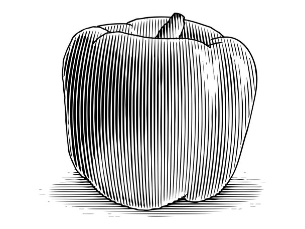 Woodcut illustration of a bell pepper. - Vector, Image