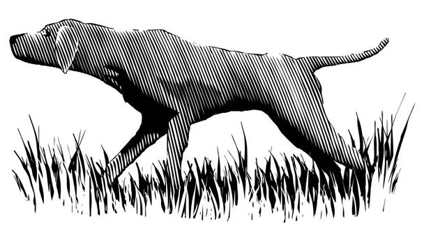 Illustration de style Woodcut d'un chien oiseau sur le point
. - Vecteur, image