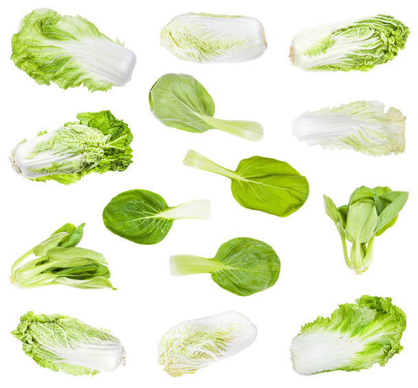 various chinese cabbages isolated on white - Photo, Image