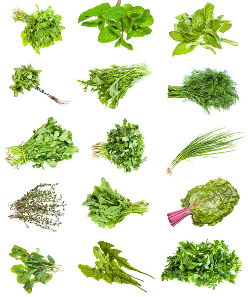 diverses grappes d'herbes comestibles fraîches isolées
 - Photo, image