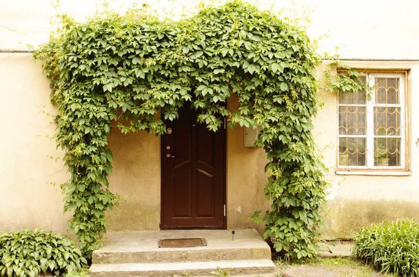 Antigua entrada del edificio enmarcada con vegetación y ventana con parrilla de metal
 - Foto, Imagen